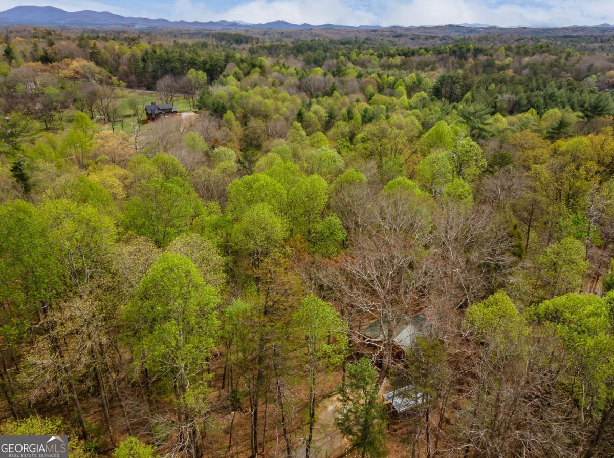 159 Pack Creek Road Blue Ridge GA 30513