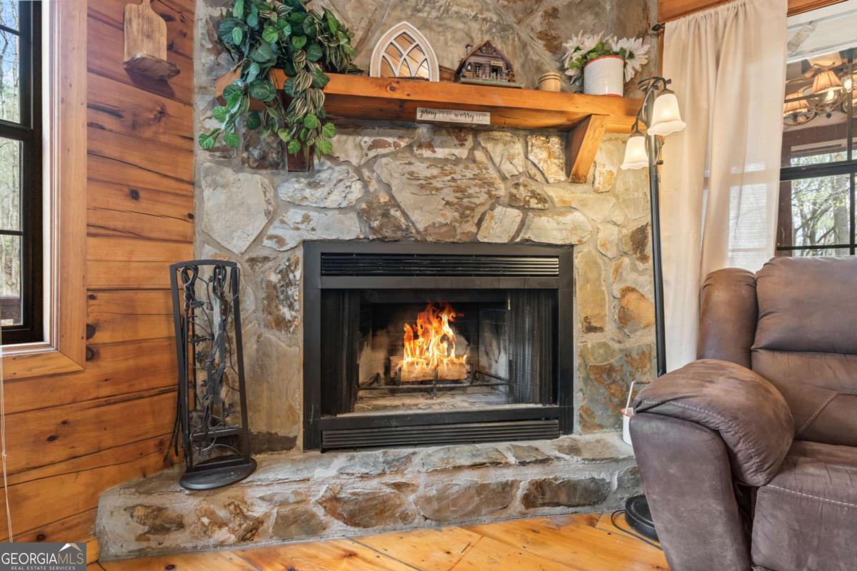 159 Pack Creek Road Blue Ridge GA 30513