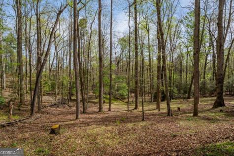 159 Pack Creek Road Blue Ridge GA 30513