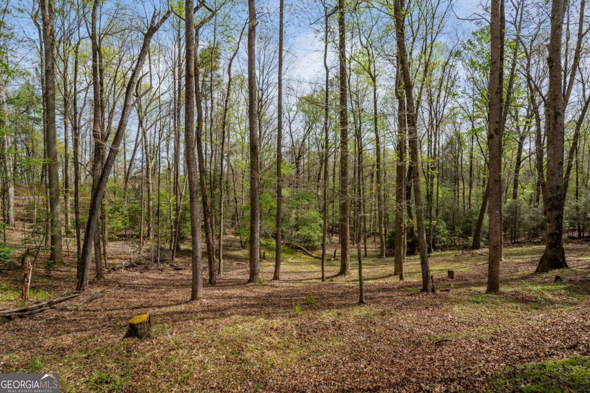 159 Pack Creek Road Blue Ridge GA 30513