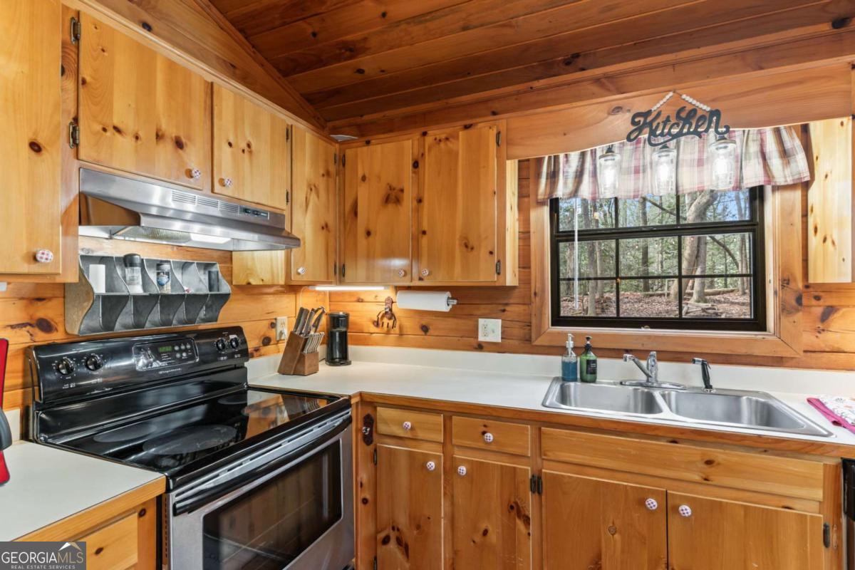 159 Pack Creek Road Blue Ridge GA 30513