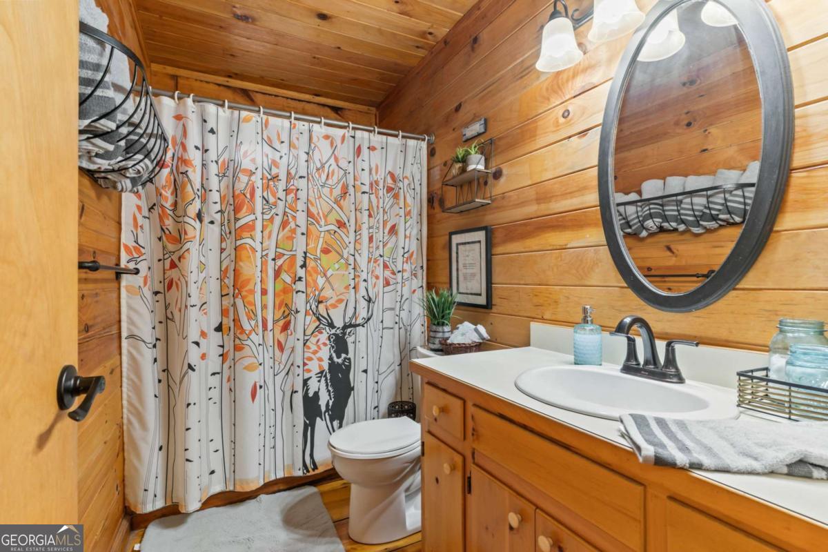 159 Pack Creek Road Blue Ridge GA 30513
