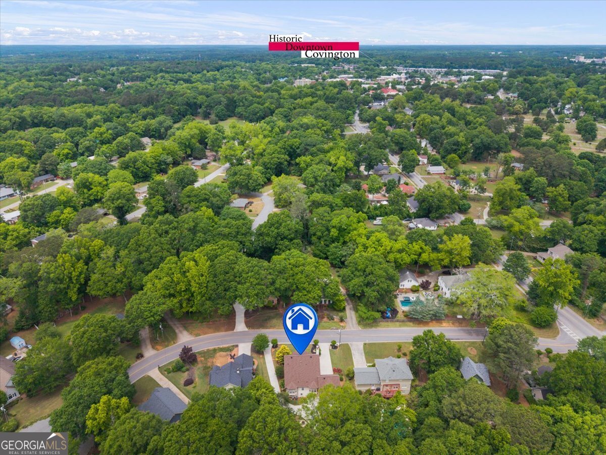 4145 SW Town Branch Court Covington GA 30014