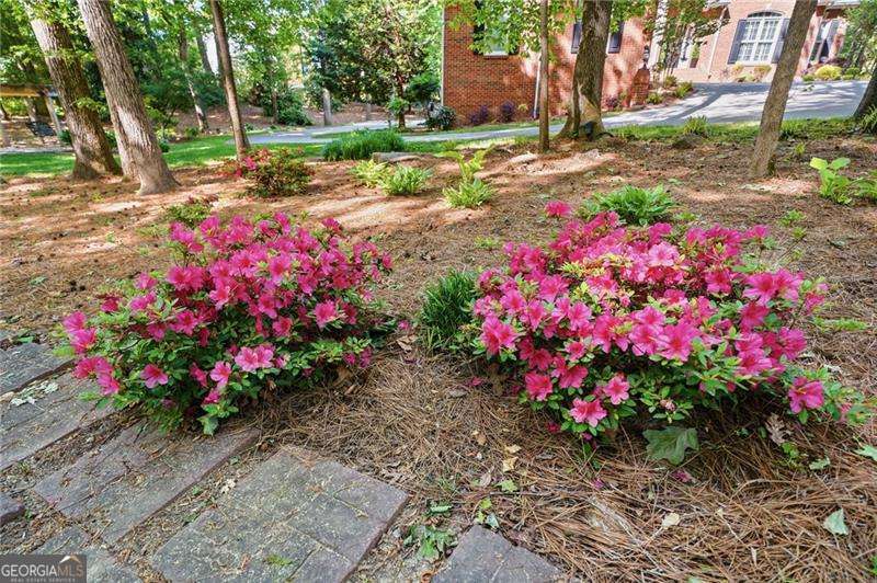 153 York Place Calhoun GA 30701
