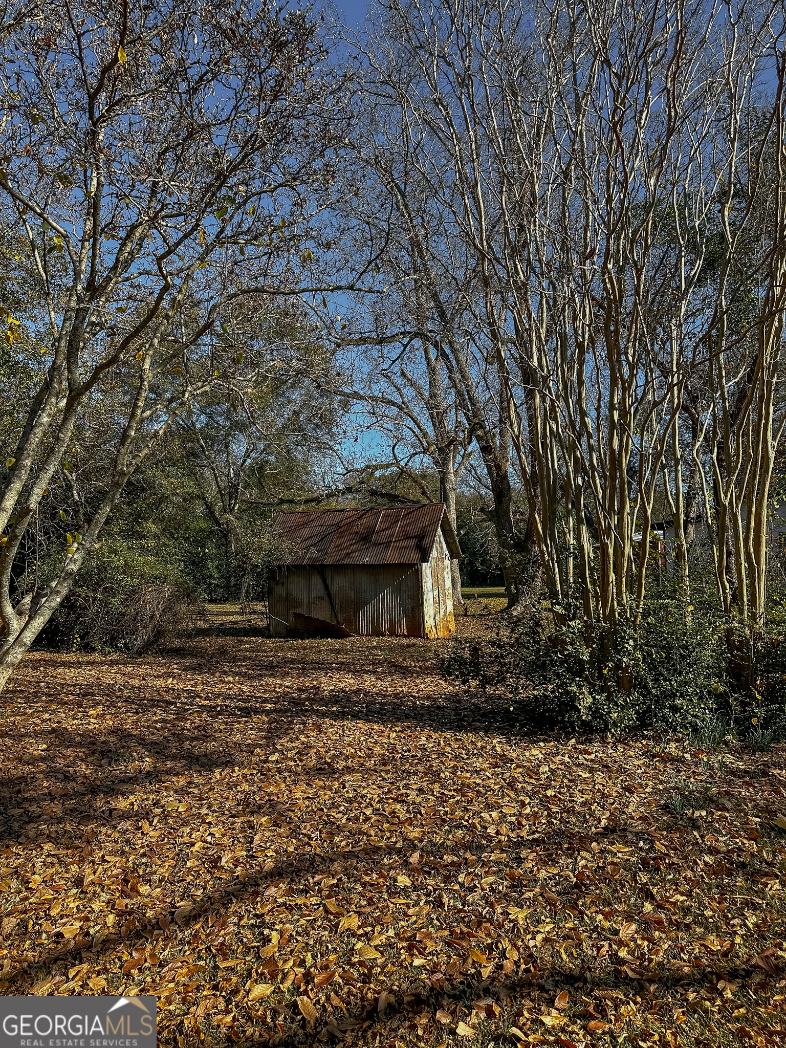 720 Wise Road Plains GA 31780