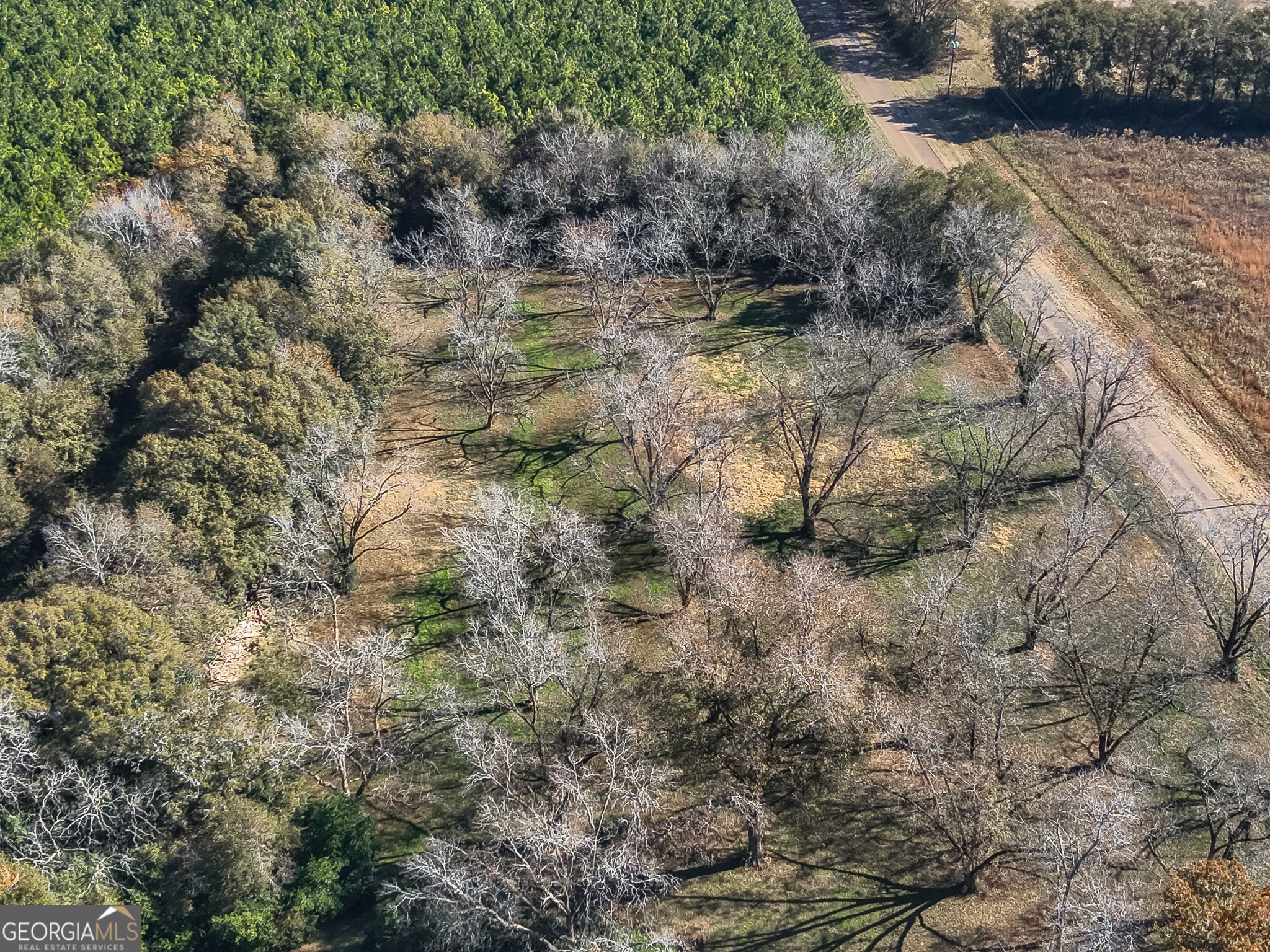 720 Wise Road Plains GA 31780