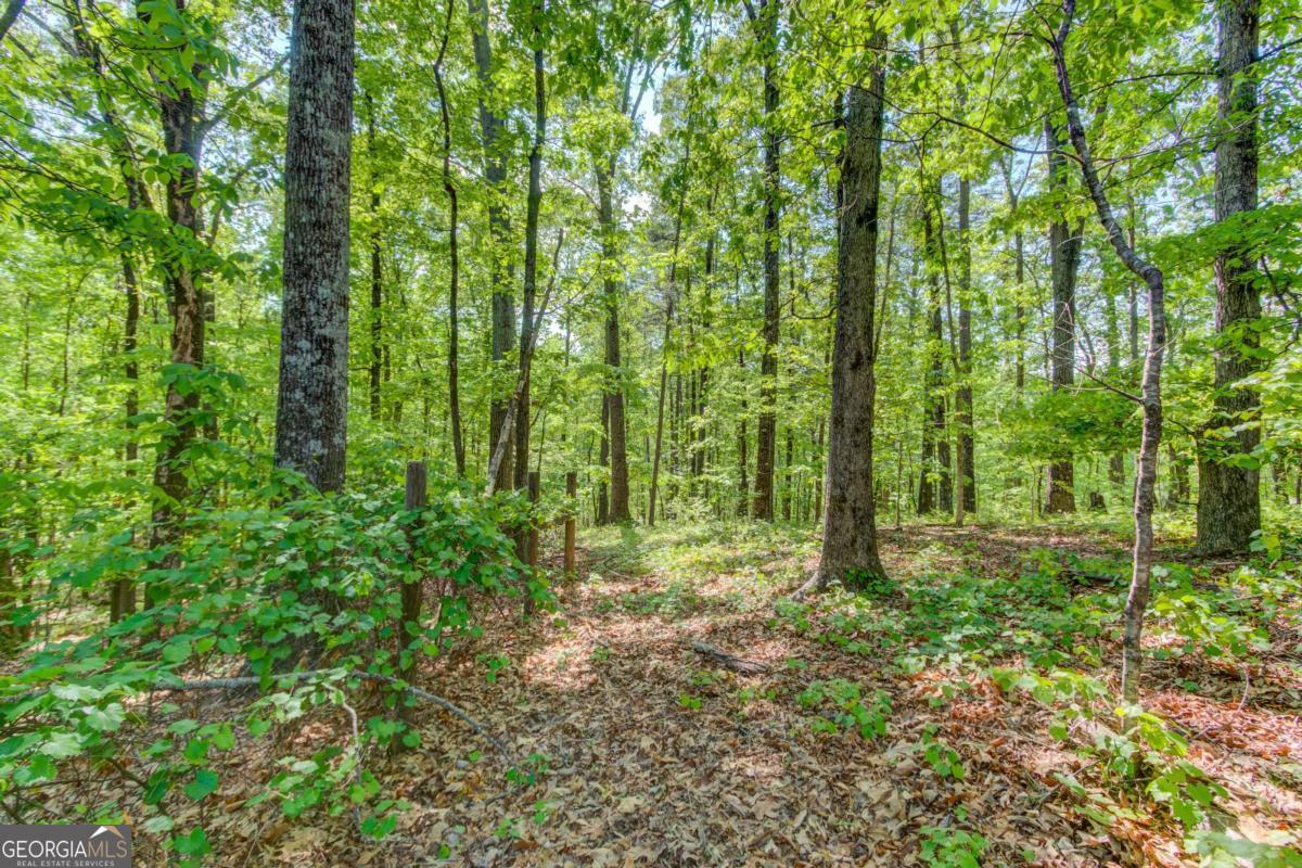 1051 Riverside Road Sugar Hill GA 30518