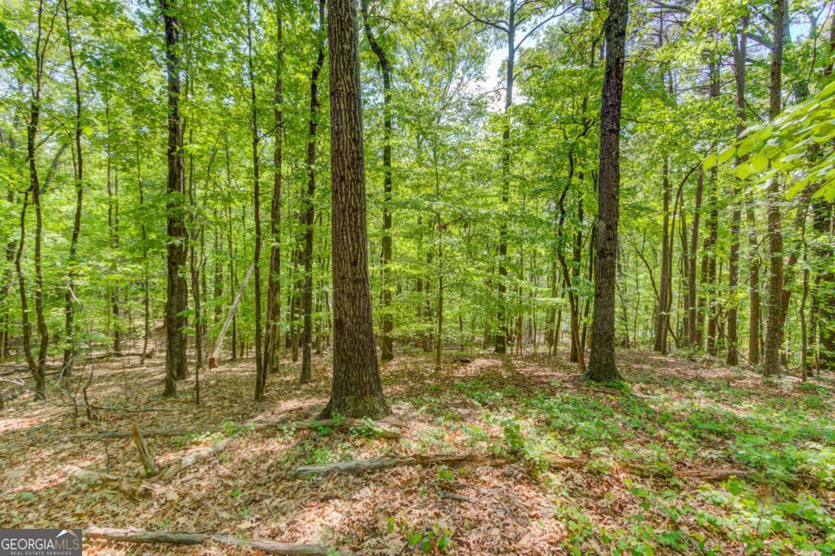 1051 Riverside Road Sugar Hill GA 30518