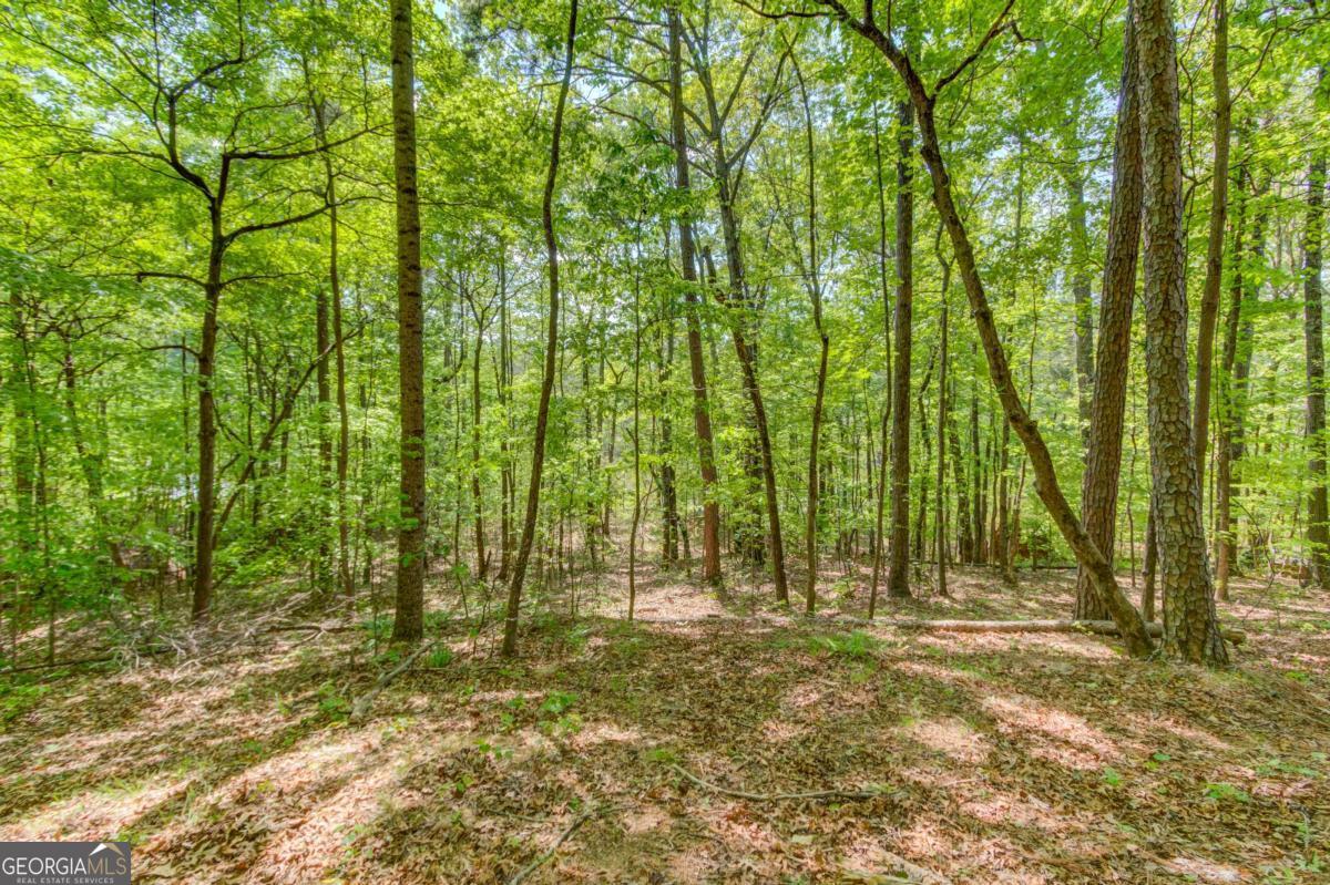1051 Riverside Road Sugar Hill GA 30518