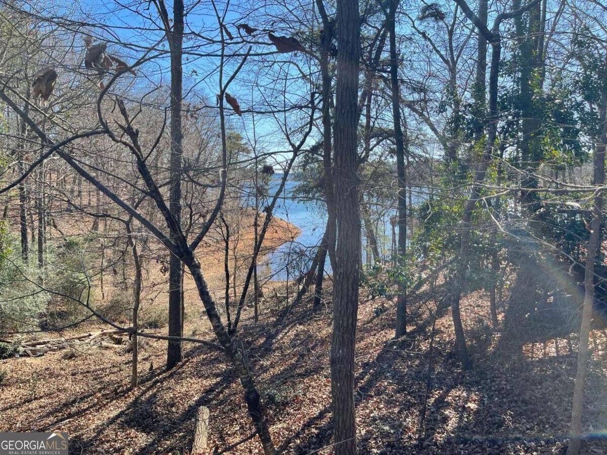20 Clipper Circle Hartwell GA 30643