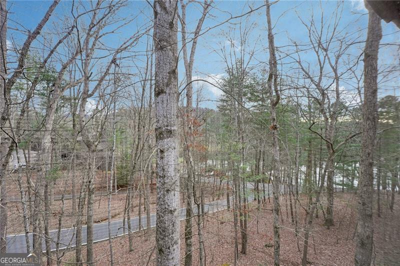 135 Chestnut Rise Trail Big Canoe GA 30143