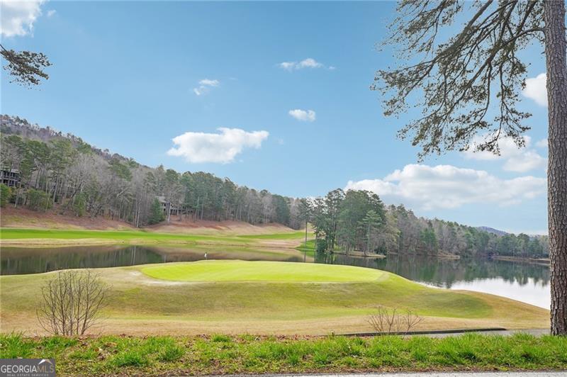 135 Chestnut Rise Trail Big Canoe GA 30143