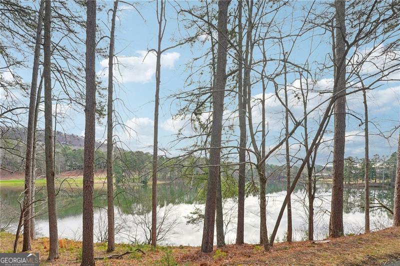 135 Chestnut Rise Trail Big Canoe GA 30143