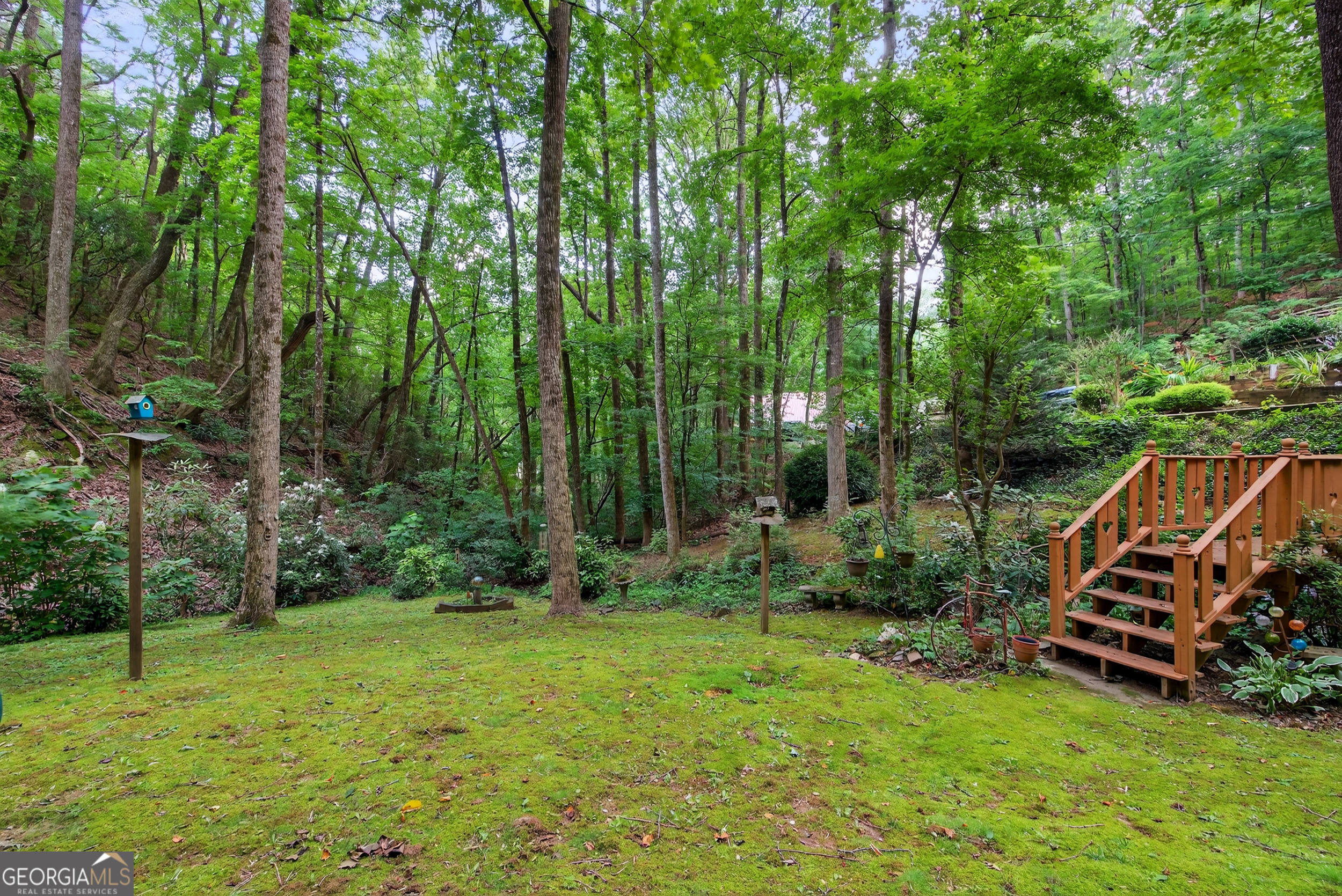 75 Juniper Trail Clayton GA 30525