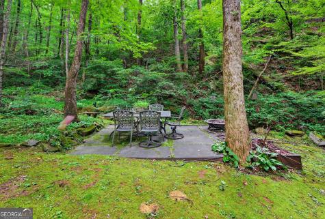 75 Juniper Trail Clayton GA 30525