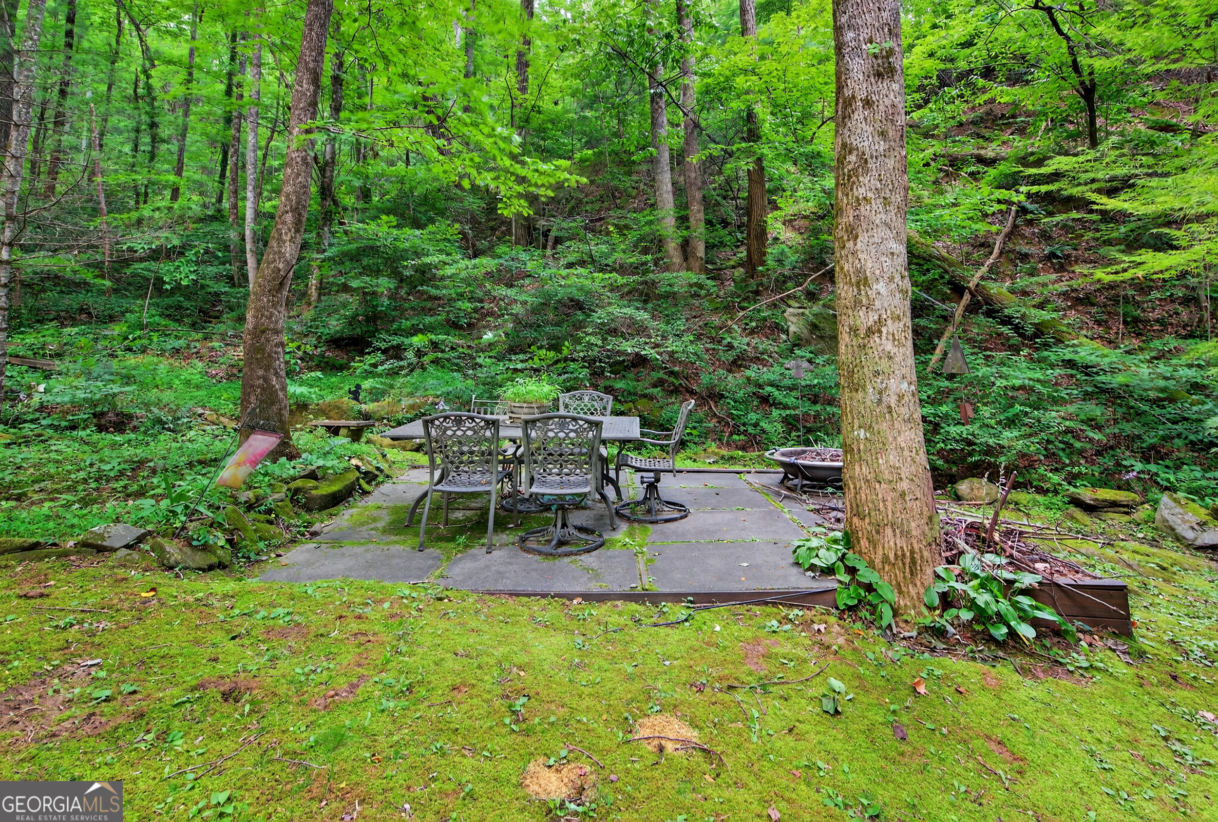 75 Juniper Trail Clayton GA 30525