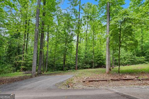 220A Brookwood Lane Clarkesville GA 30523