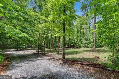 220A Brookwood Lane Clarkesville GA 30523