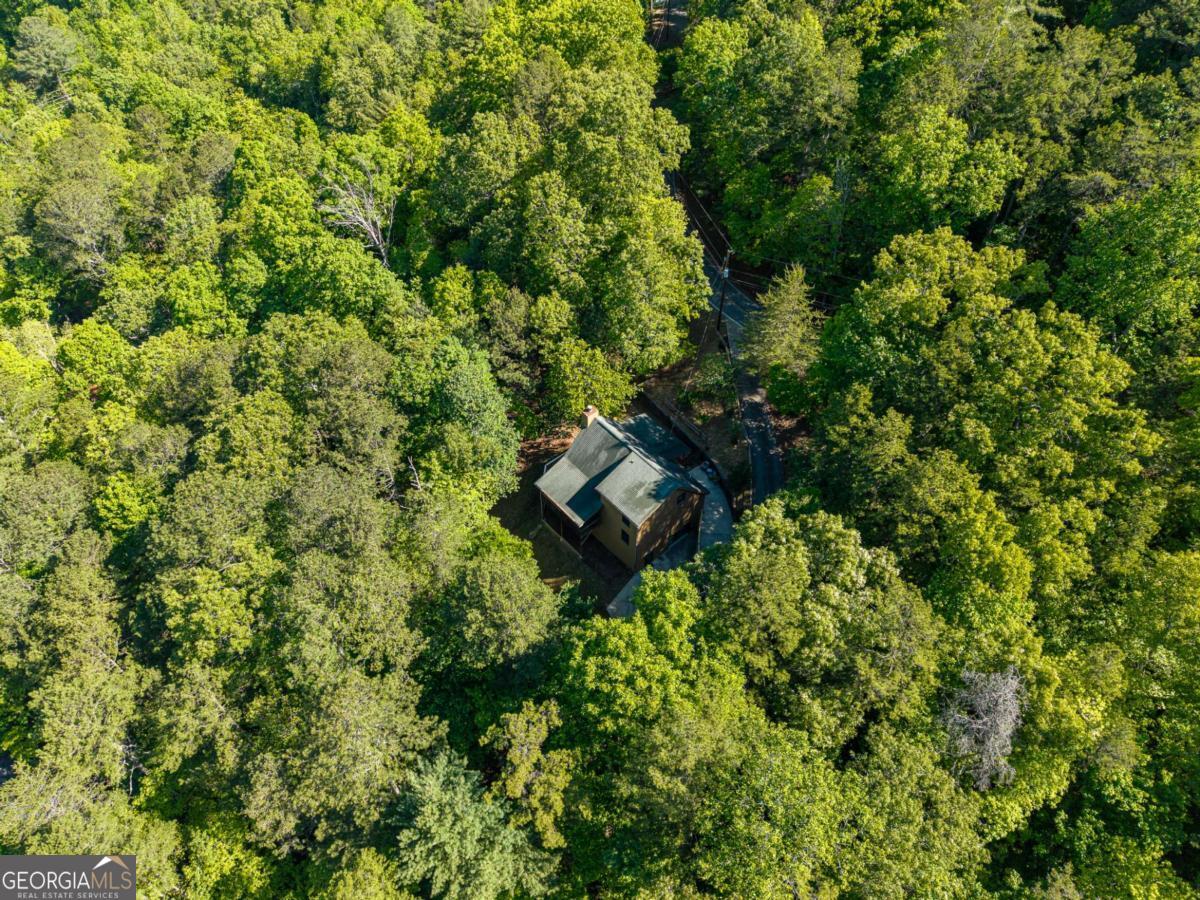 270 Tara Drive Ellijay GA 30540