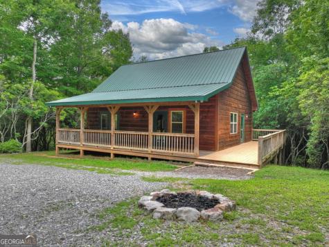 295 Ross Drive Mineral Bluff GA 30559