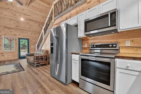 295 Ross Drive Mineral Bluff GA 30559