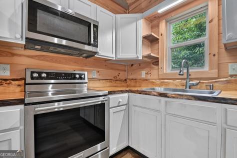 295 Ross Drive Mineral Bluff GA 30559