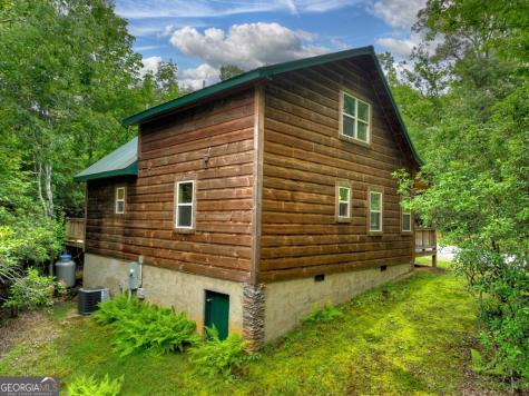 295 Ross Drive Mineral Bluff GA 30559