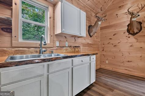 295 Ross Drive Mineral Bluff GA 30559
