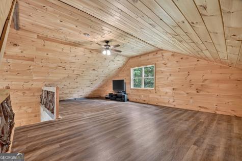 295 Ross Drive Mineral Bluff GA 30559