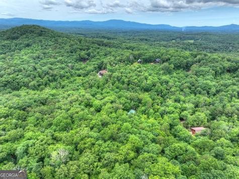 295 Ross Drive Mineral Bluff GA 30559