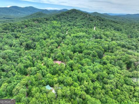 295 Ross Drive Mineral Bluff GA 30559