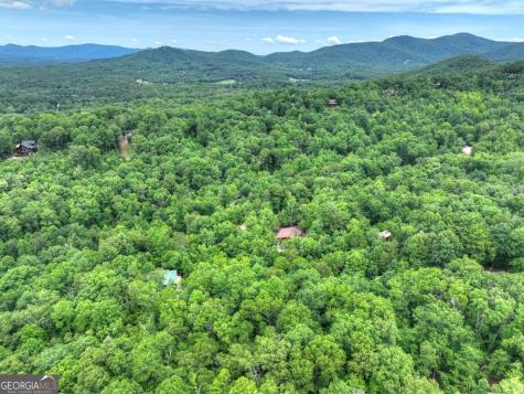 295 Ross Drive Mineral Bluff GA 30559