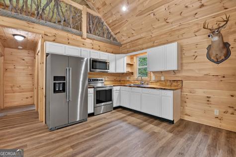 295 Ross Drive Mineral Bluff GA 30559