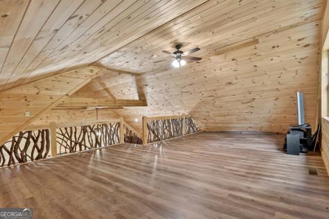 295 Ross Drive Mineral Bluff GA 30559