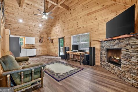 295 Ross Drive Mineral Bluff GA 30559