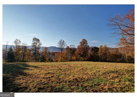 2086 Burnt Mountain Road Ellijay GA 30536