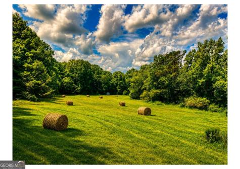 2086 Burnt Mountain Road Ellijay GA 30536