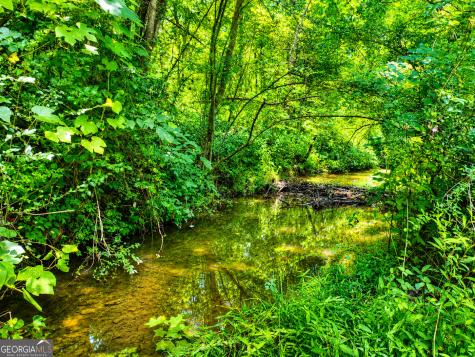 2086 Burnt Mountain Road Ellijay GA 30536