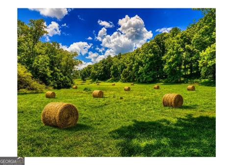 2086 Burnt Mountain Road Ellijay GA 30536