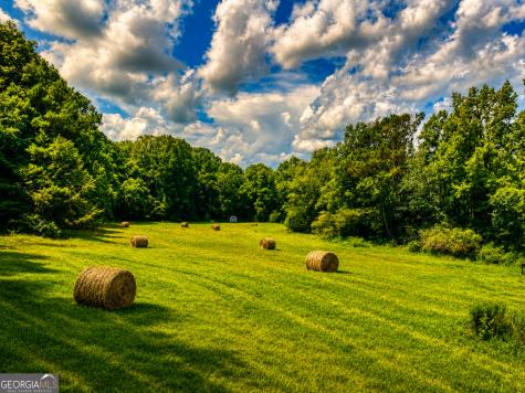 2086 Burnt Mountain Road Ellijay GA 30536