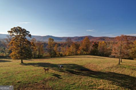 2086 Burnt Mountain Road Ellijay GA 30536
