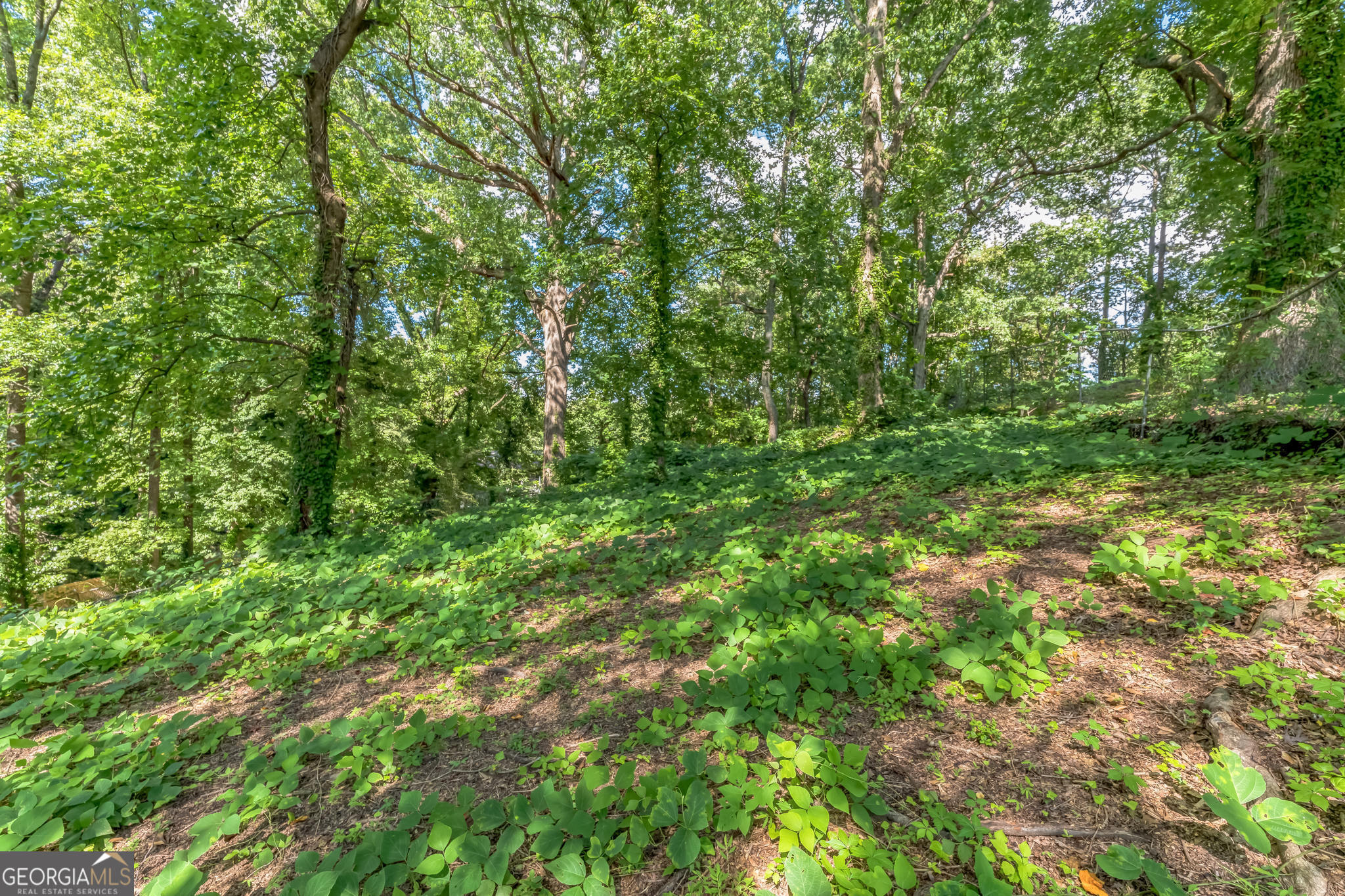 145 Sewanee Avenue NW Atlanta GA 30314