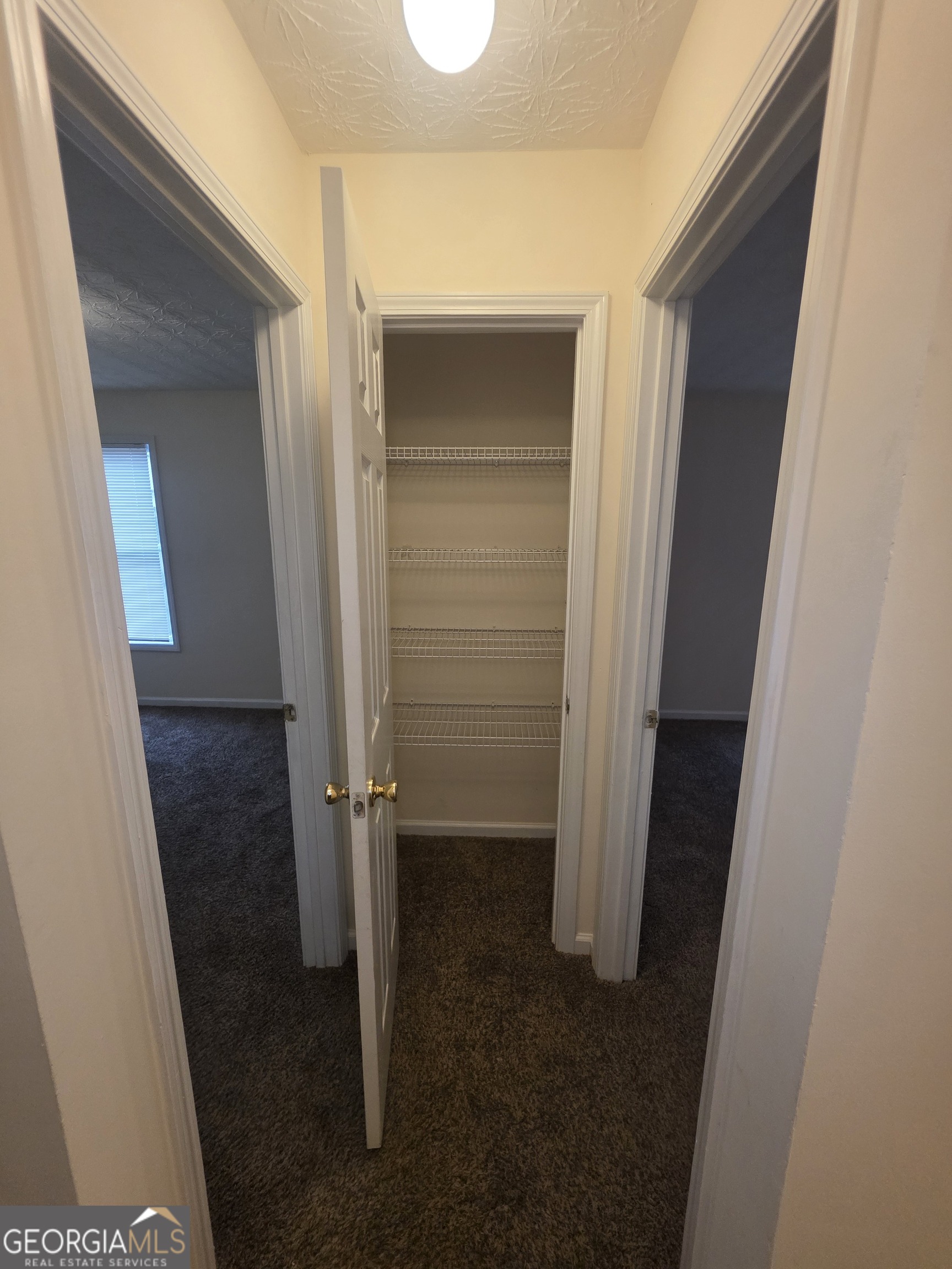 1938 Bertha Court Hampton GA 30228