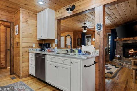 236 Logan Drive Mineral Bluff GA 30559