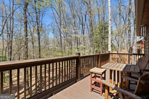 236 Logan Drive Mineral Bluff GA 30559