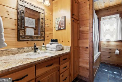 236 Logan Drive Mineral Bluff GA 30559