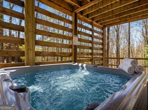 236 Logan Drive Mineral Bluff GA 30559