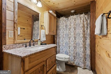 236 Logan Drive Mineral Bluff GA 30559