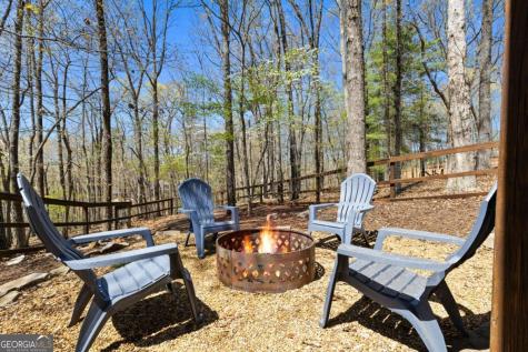 236 Logan Drive Mineral Bluff GA 30559