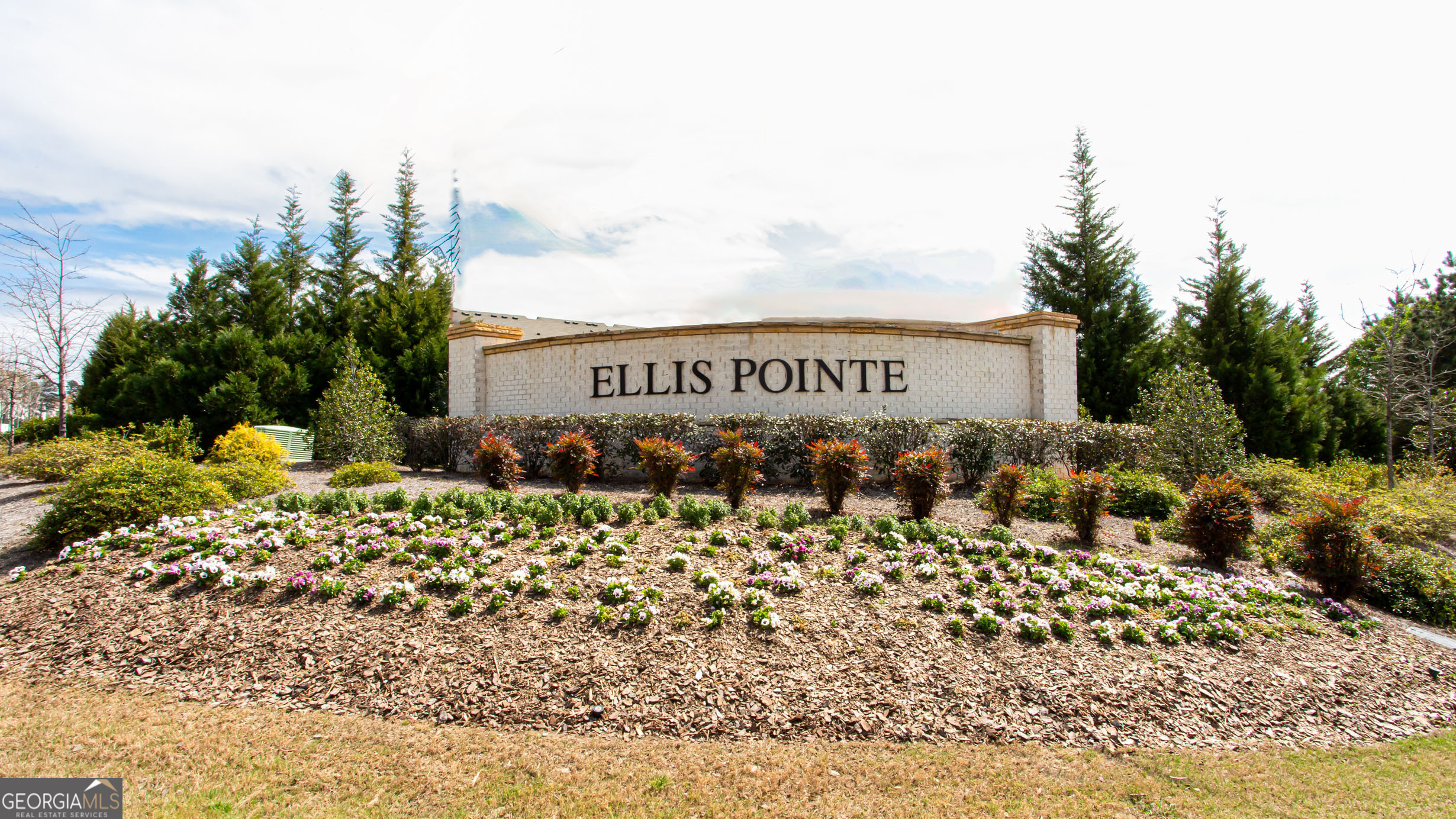 2828 Ellis Pointe Avenue Conyers GA 30094